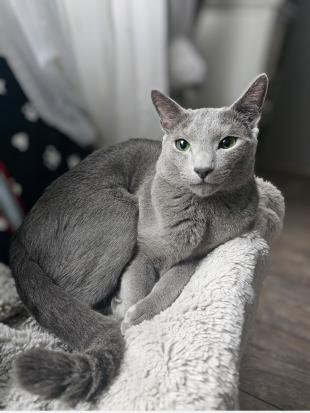 Screenshot 20241227 093217 com.android.gallery3d