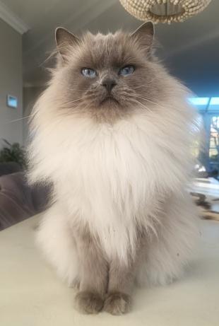 Screenshot 20250410 200914 Gallery