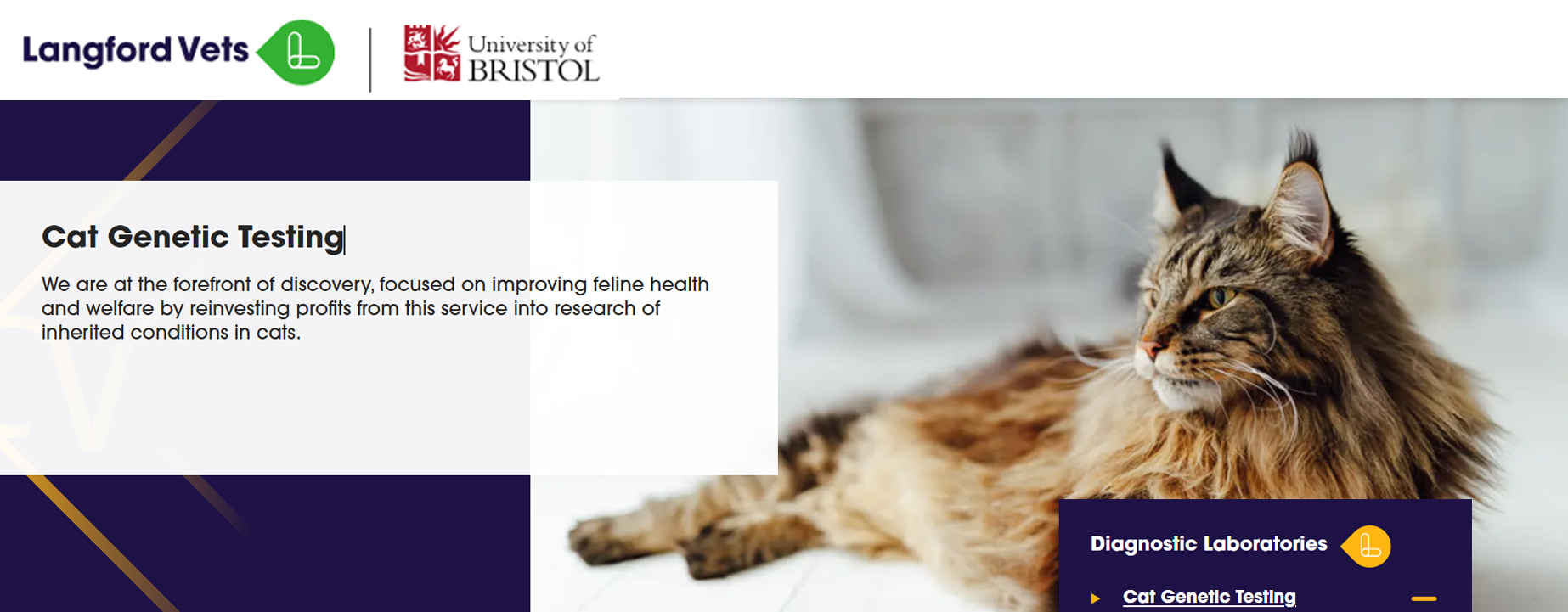 Schermafbeelding 2026 03 17 111205