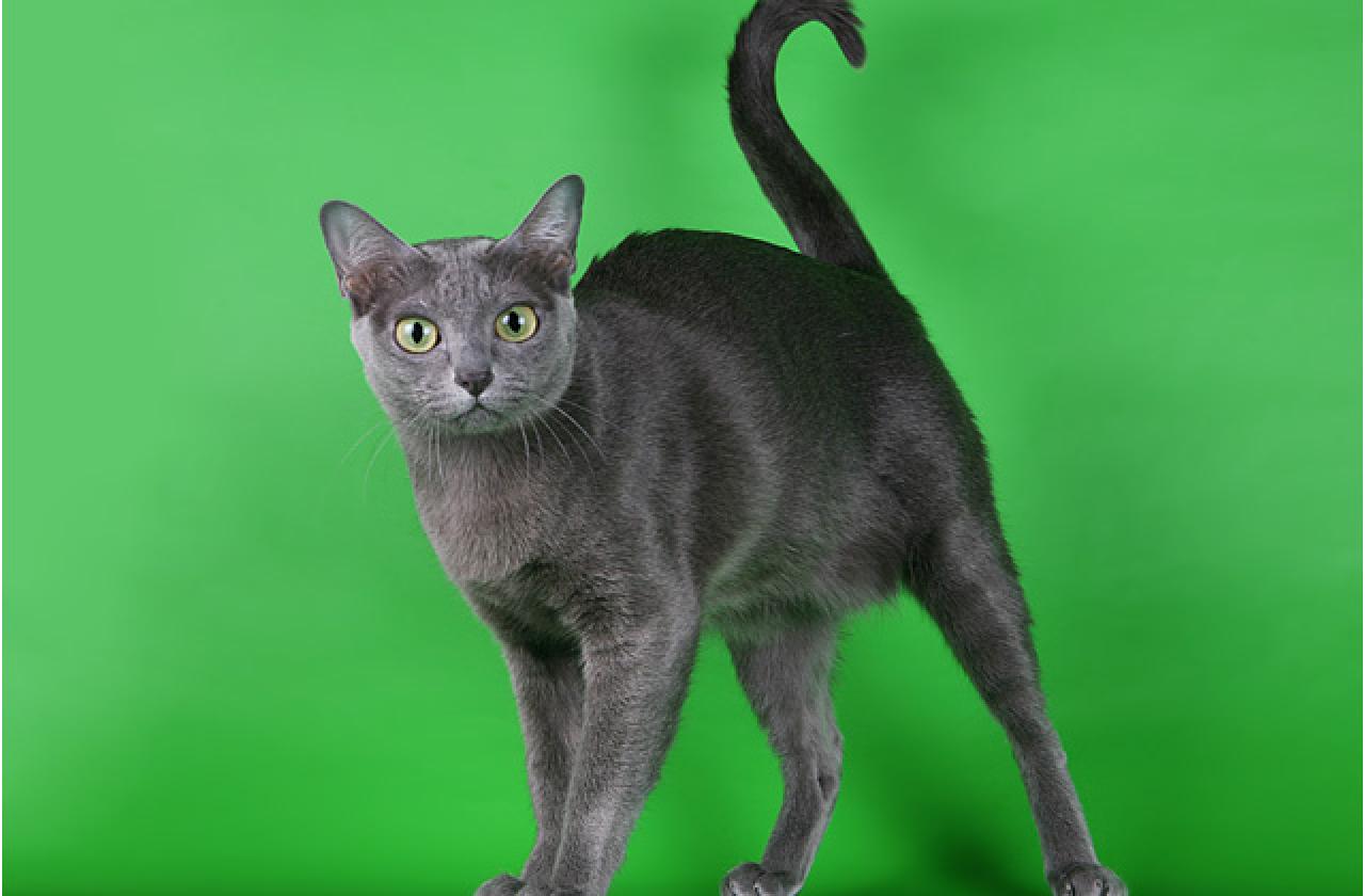 75 3