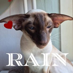 607926930 3866215943671868 1340752327812312809 n