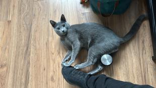 BEED2DFD 40EB 482F BEA0 994BEC9ED43