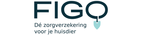 FIGO logo voor site