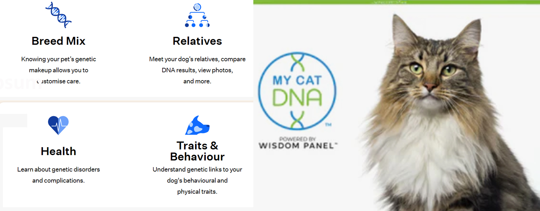 MyCatDNA banner site