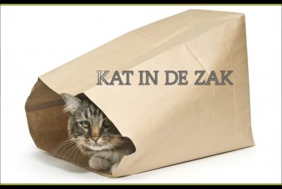 KAT IN DE ZAK titel